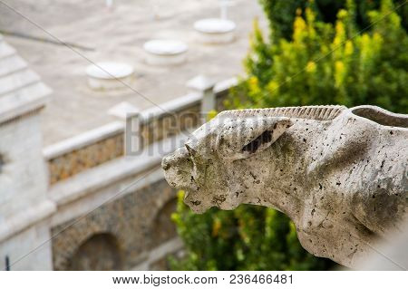 Gargoyle Or Gargouille, The Basilica Of Sacre-coeur, Montmartre ,paris.france