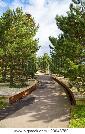Cute Street Down The Park Among Beautiful Trees