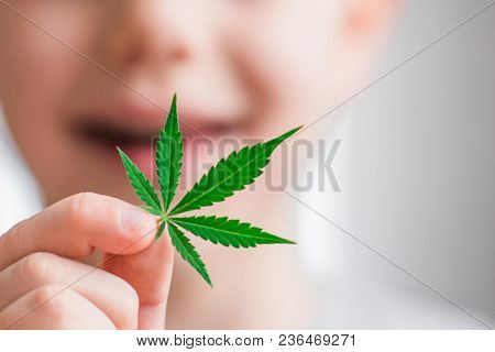 Smiling Kid Child Holding A Hemp Leaf. Concepts Of Using Marihuna For Medicinal Purposes For Childre