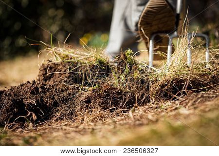 Gardener Aerate Soil And Dig Up The Garden Ground With A Digging Or Spading Fork, Low Angle Shot