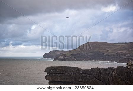 A Seagull Flies Over The Coast Of Cantabria, Spain