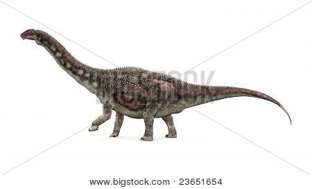 공룡 Diamantinasaurus