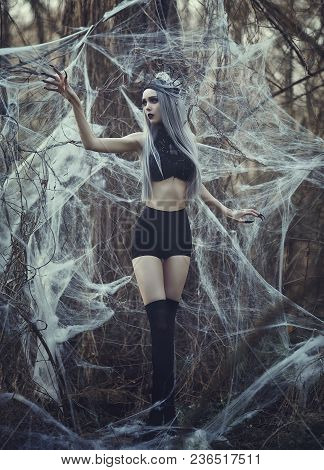 Beautiful Sexy Gothic Girl With Pale Skin And Long White Hair Like Spider Black Widow In Spider Web.