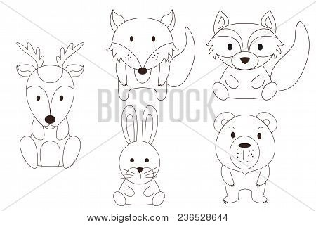 Coloring Page With Animal. Wild Deer And Raccoon, Rabbet, Bear, Fox In Outline. Vector Illustration.
