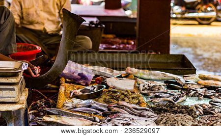 Hilsa Rohu Katla Lobster Prawn And Various Types Of Fishes Displayed In Indian Fish Market At Kolkat