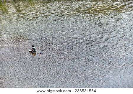 A Simple Life Of Laotian In Luang Phrabang, Man Is Washing Cloth In The Mekhong River