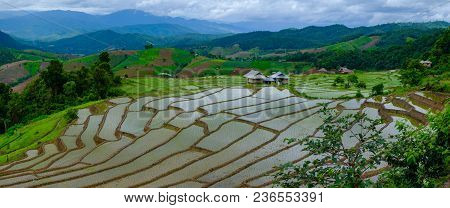 Ban Papongpieng Rice Terraces, Chiang Mai, North Of Thailand