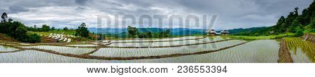 Ban Papongpieng Rice Terraces, Chiang Mai, North Of Thailand