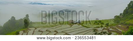 Ban Papongpieng Rice Terraces, Chiang Mai, North Of Thailand