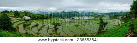 Ban Papongpieng Rice Terraces, Chiang Mai, North Of Thailand