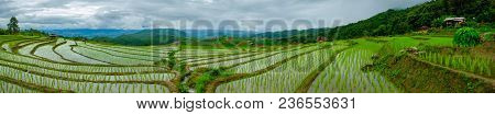Ban Papongpieng Rice Terraces, Chiang Mai, North Of Thailand