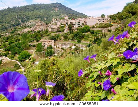 Valldemossa fra Mallorca udsigt fra lilla Ipomea blomster forgrund