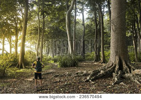 Man Traveling And Walking In The Forest Walk Trail In Havelock Island Andaman And Nicobar Islands. I