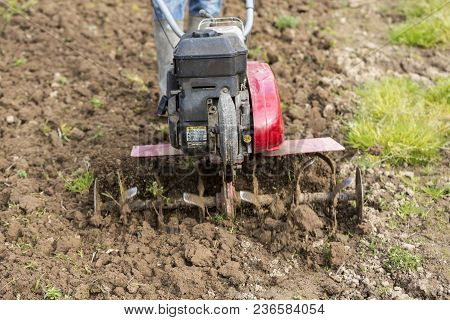 Senior Farmer Gardener Working In The Garden With Rototiller , Tiller Tractor, Cutivator, Miiling Ma