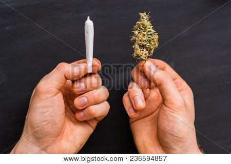 Close Up Hand Of Man Rolled Joint Buds Of Marijuana, Unrolled Weed On A White Background Top View Cl