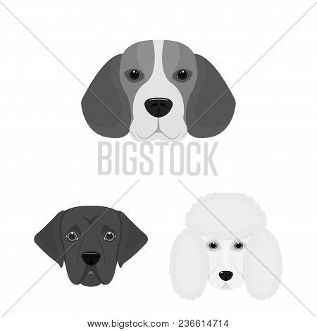 Dog Breeds Monochrome Icons In Set Collection For Design.muzzle Of A Dog Vector Symbol Stock  Illust