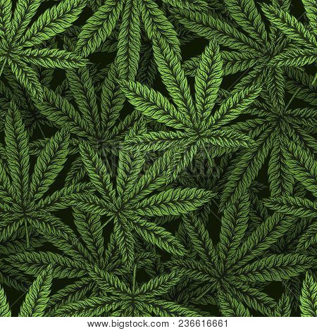 Marijuana Leaves Seamless Pattern. Detailed Hand Drawn Vector Illustration.