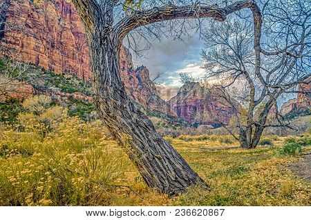 Zion National Park Is Located In The Southwestern United States, Near Springdale, Utah