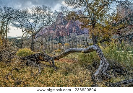 Zion National Park Is Located In The Southwestern United States, Near Springdale, Utah