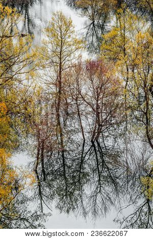 Green Trees Reflected In The Shallow Shore Waters Of The Skadar Lake, Skadar Lake National Park, Mon