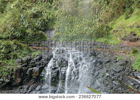 Walking Track Behind The Curtain Of The Stunning Purling Brook Falls In The Gondwana Rainforests - S