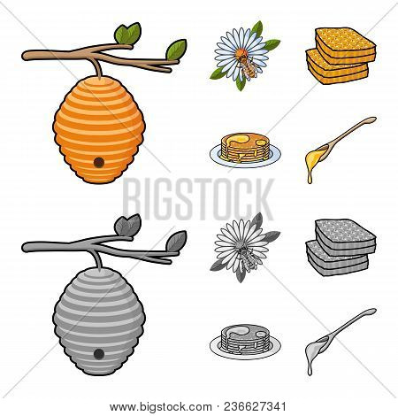 A Hive On A Branch, A Bee On A Flower, A Honeycomb With Honey, A Honey Cake.apiary Set Collection Ic