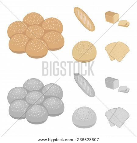 Cut Loaf, Bread Roll With Powder, Half Of Bread, Baking.bread Set Collection Icons In Cartoon, Monoc