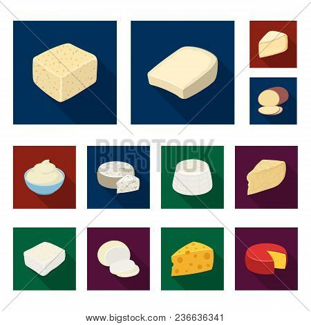 Different Kind Of Cheese Flat Icons In Set Collection For Design.milk Product Cheese Vector Symbol S
