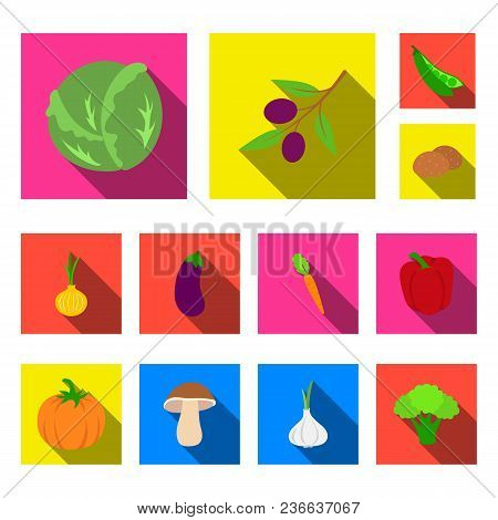 Different Kinds Of Vegetables Flat Icons In Set Collection For Design. Vegetables And Vitamins Vecto