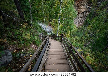 Outdoor Wooden Stair Case In The Woods, Siberia