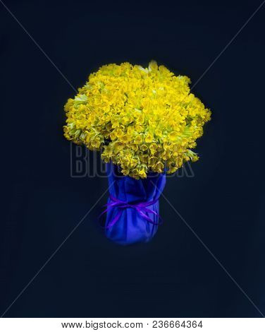 Flower, Spring, Yellow, Beautiful, Bouquet, Spring Breath