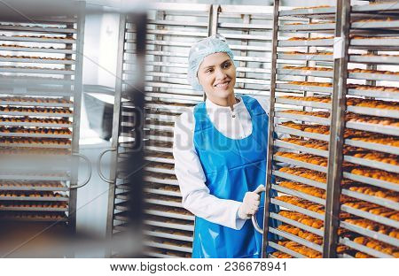 Fish Seafood Factory Industry Production Processing Equipment