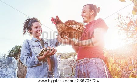 Happy Couple Picking Up Fresh Organic Eggs In Henhouse Farm At Sunset - Young Farmers Working In Sum