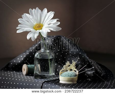 Still Life With White Daisy Flower In The Small Vintage Glass Botlle, Needles And Spool Of Thread Ag