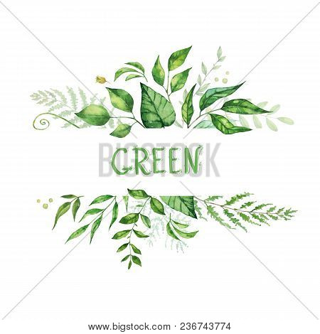 Floral Greenery Card Design. Forest Branch Green Leaves Foliage Herb, Greenery Frame. Wedding Invita