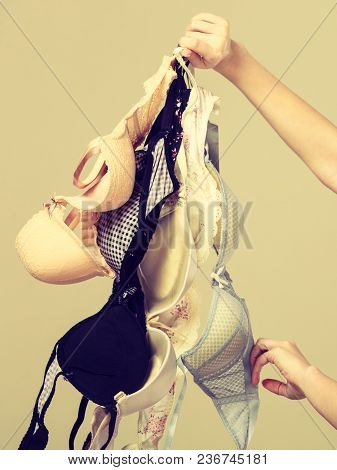 Bosom Concept. Female Holding Many Bras In Hand, Choosing Witch Bra To Wear