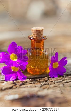 Foalfoot Essential Oil In A Beautiful Bottle On The Table