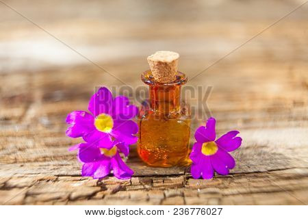 Foalfoot Essential Oil In A Beautiful Bottle On The Table