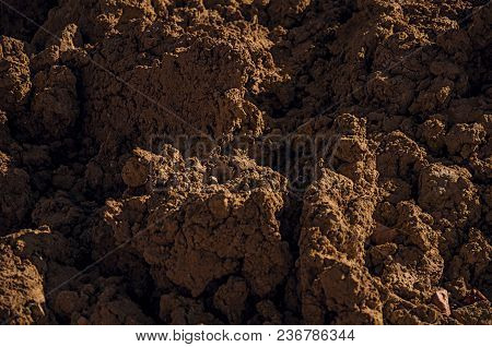 Close-up Of Brown Soil In A Construction Area At Sunset In Tielt. Charming And Quiet Village In The 