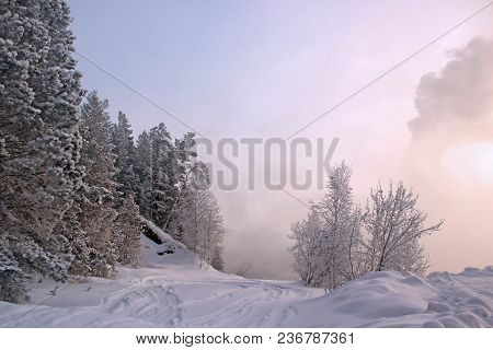 Amazing Winter Landscape Of Road Into The Conifer Forest Covered With Pink Haze