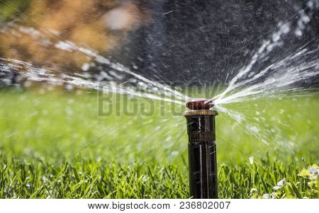 Automatic Sprinkler System Watering The Lawn On A Background Of Green Grass, Close-up