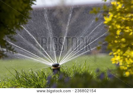 Automatic Sprinkler System Watering The Lawn On A Background Of Green Grass, Close-up