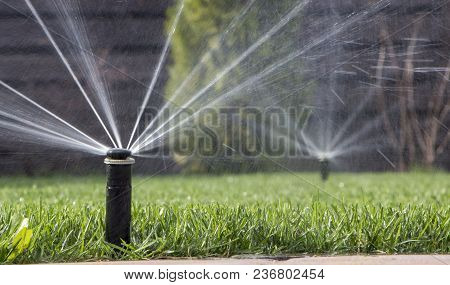 Automatic Sprinkler System Watering The Lawn On A Background Of Green Grass, Close-up