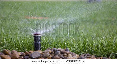 Automatic Sprinkler System Watering The Lawn On A Background Of Green Grass, Close-up