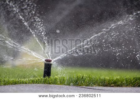 Automatic Sprinkler System Watering The Lawn On A Background Of Green Grass, Close-up