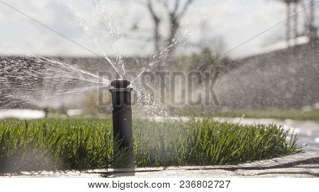 Automatic Sprinkler System Watering The Lawn On A Background Of Green Grass, Close-up