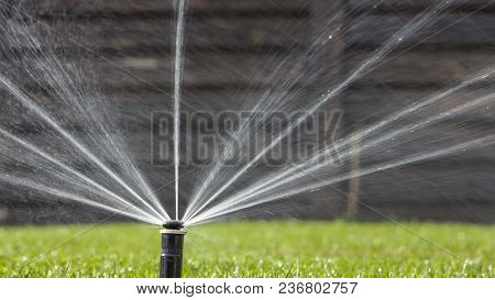 Automatic Sprinkler System Watering The Lawn On A Background Of Green Grass, Close-up