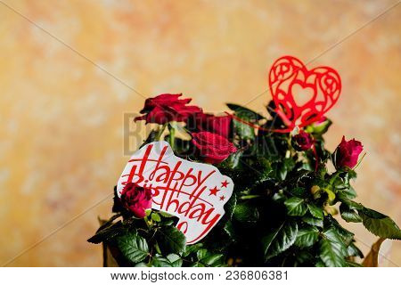 Red Roses Flowers On Wooden Background.red Flowers And Message Happy Birthday,