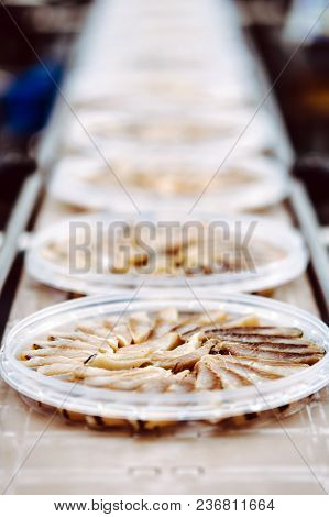 Fish Seafood Factory Industry Production Processing Equipment
