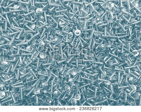 Many Metal Self-tapping Screws. Steel Self-tapping In Bulk With Blue Tinting.